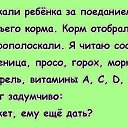 ���� �����, �����, 48 ��� - ��������� 1 ������� 2015 � ������ �2�