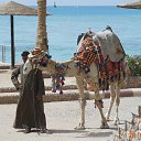 ���� ���������, ������, 62 ���� - ��������� 3 ���� 2015 � ������ �������� ����.������ 2015�