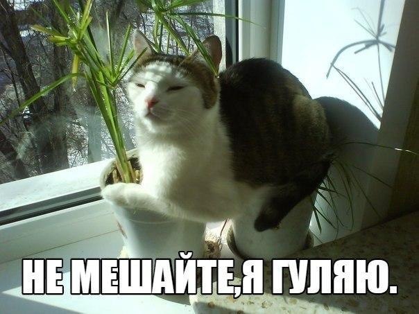  -  - 22  2015  18:20