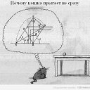  Max, -, 44  -  23  2015    