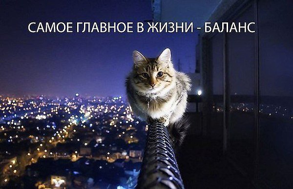 ���� �� �� ������� �� ����� �������, ��� ������ �� ������.
