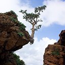 ���� �������, ��������, 79 ��� - ��������� 4 �������� 2015