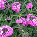  , - -  20  2015    .