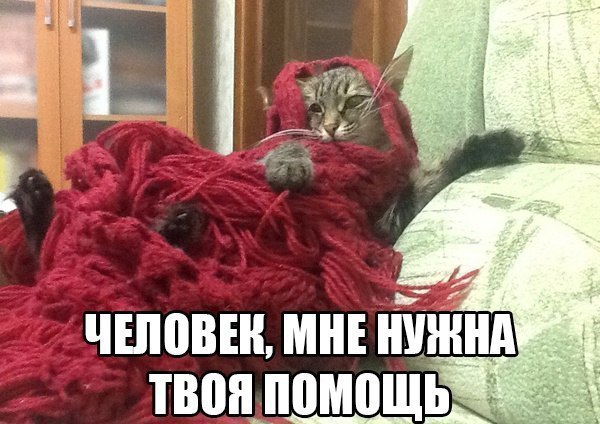  - 10  2015  15:42