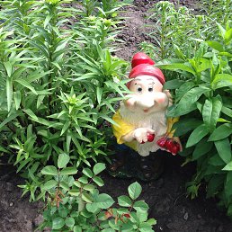 �������, ������, 55 ���