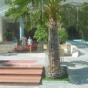    -  ,  -  30  2015   .  2015.   .  3-.