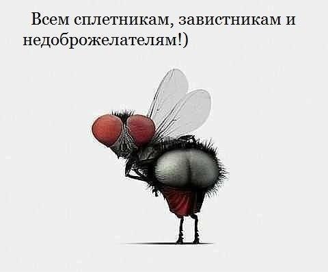   | , ,  - 23  2015  11:03