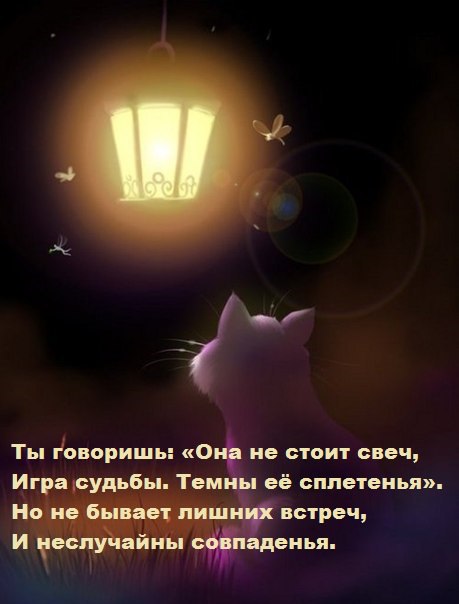  - 30  2015  23:10