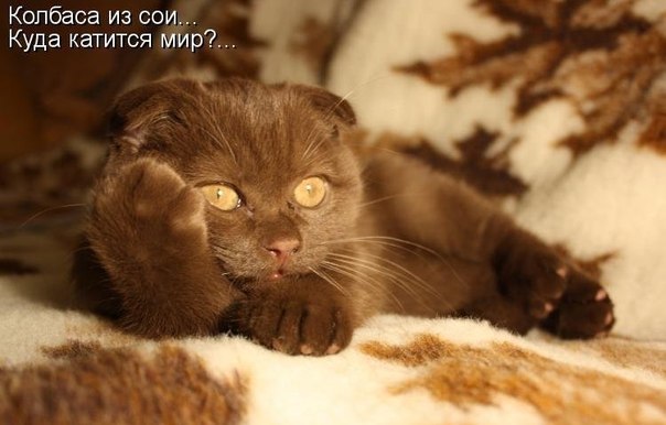          -     " "  -   : https://fotostrana.ru/away?to=/sl/9x2 - 6  2015  15:32