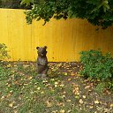 ���� �����, ������, 54 ���� - ��������� 19 �������� 2015 � ������ ��������