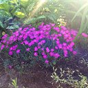 ����� - ��� ��������. �� ������� ���� ����������