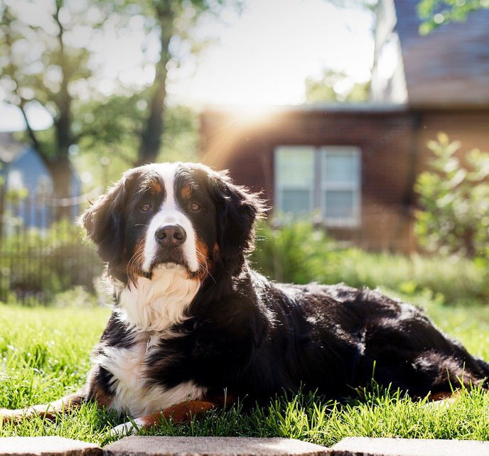   - 29  2015  14:45 - 5