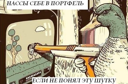   - 2  2015  11:03