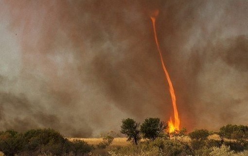 ����� ������� ����� - ��������. ������ ��������� �������, ������� ������� 30 ������.