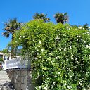  , , 60  -  19  2015     17.05.15.