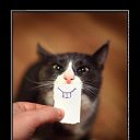 ���� ��������, �����������, 59 ��� - ��������� 2 ��� 2015 � ������ ������ ��������