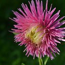 ���� ��������, ������, 48 ��� - ��������� 15 ��� 2015 � ������ ���� ���������..))�