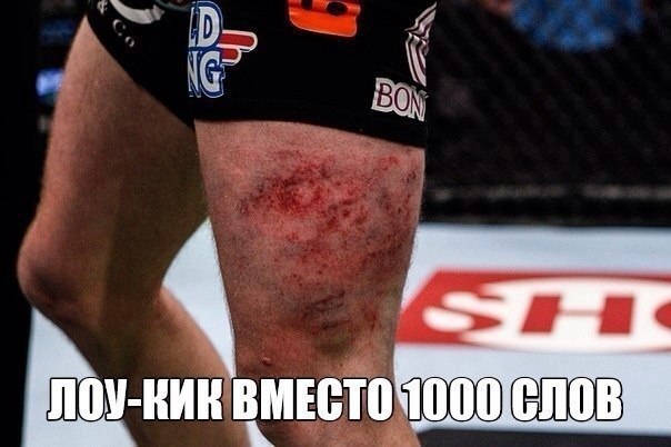  -   - 10  2015  04:03