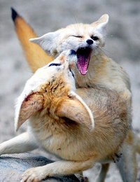 |В| Счастье есть... |В| - 9 августа 2015 в 23:22 - 5