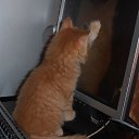  ,  -  2  2015    )))