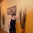 ���� �����, ������, 65 ��� - ��������� 30 ��� 2015 � ������ ���� ����������