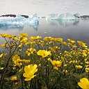  Iceberg,  -  27  2015   