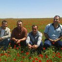 ���� �����, �������, 42 ���� - ��������� 3 ��� 2015