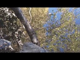 Ф. Шопен - Осень