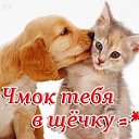 ���� ������, ����, 46 ��� - ��������� 17 ������� 2015 � ������ ������ ��������