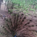���� �����, ���������, 54 ���� - ��������� 25 ������ 2015 � ������ ���, ��� ����� ��� ����...�