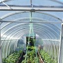 ���� ������� �� ������� ���� ����������