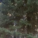 ���� Asssssssssollllllll, ����������� - ��������� 29 ������� 2015 � ������ ���� ����������