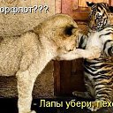 ���� T���, ��������, 71 ��� - ��������� 12 ��� 2015 � ������ ������ ��������