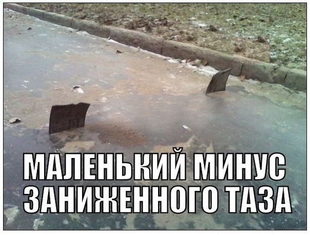     - 8  2015  07:40