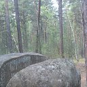 ���� �������, ���������, 54 ���� - ��������� 23 ��� 2015 � ������ ���������