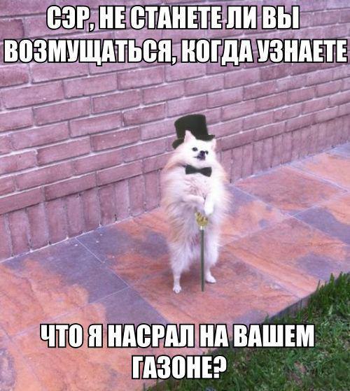    :-) - 31  2015  22:05