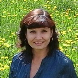 ����, �������, 54 ����