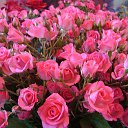 ���� Serg, ������, 66 ��� - ��������� 21 ���� 2015 � ������ ���� ����!!!�