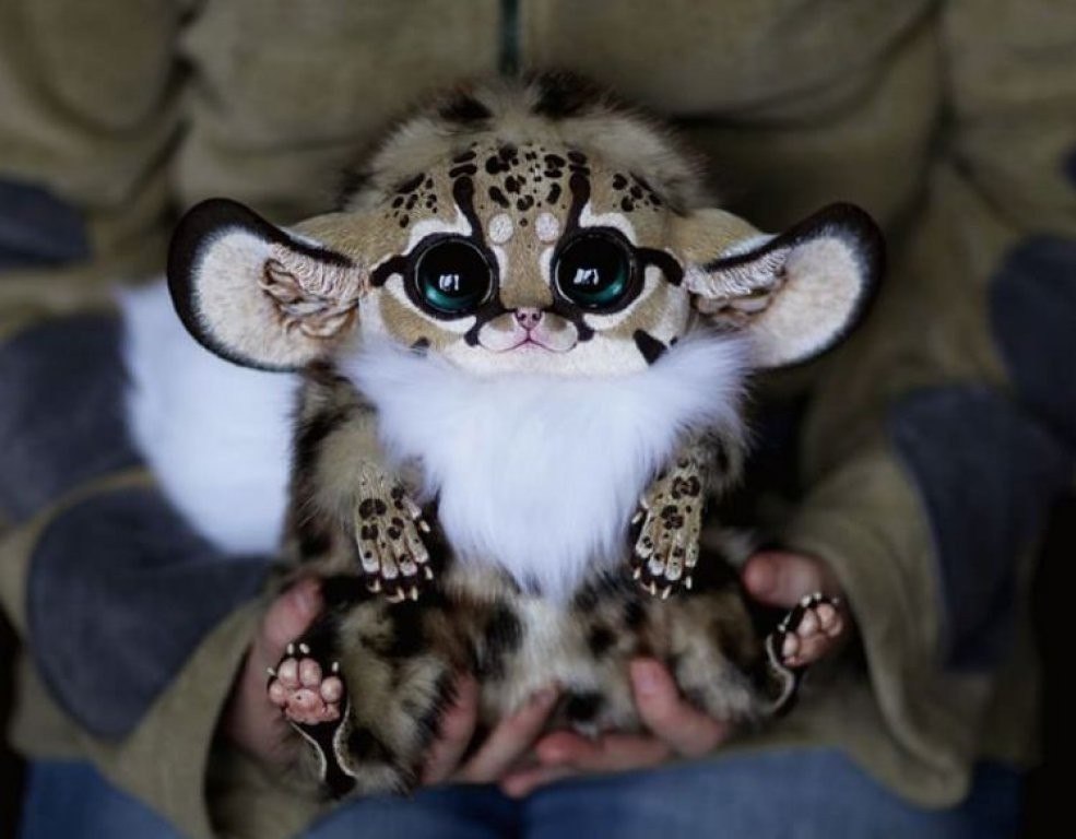 Вячеслав - 9 сентября 2015 в 23:08