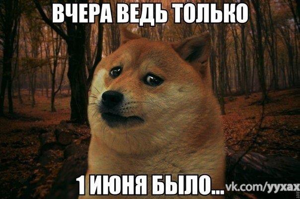     - 13  2015  16:20