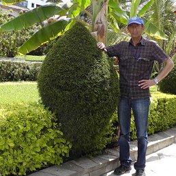 �������, ������, 68 ���