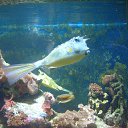 ���� ���������, �����, 27 ��� - ��������� 14 ���� 2015 � ������ ���� ����������