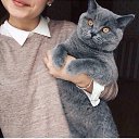 ���� �����, ������-��-����, 29 ��� - ��������� 8 ���� 2015 � ������ ���