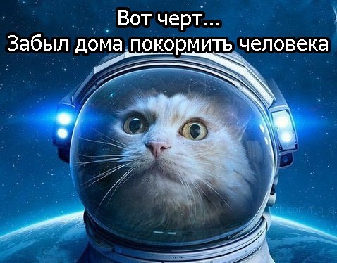       - 20  2015  04:05