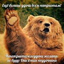 ���� �����, �������� - ��������� 29 ��� 2015 � ������ ���� ����������