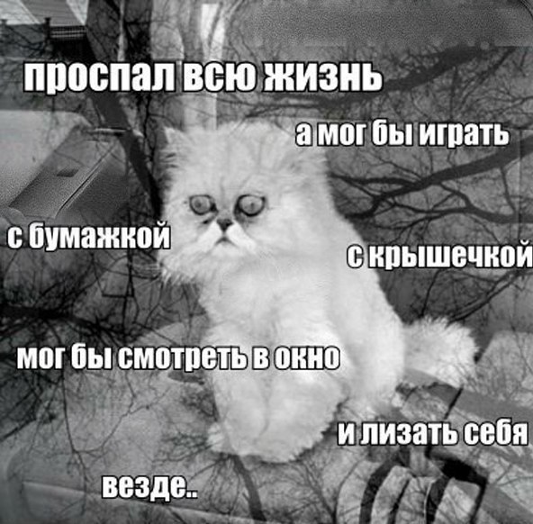    :D - 24  2015  10:19 - 5