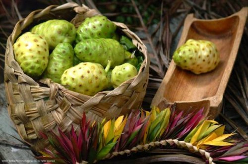 .  101  (  - Morinda Citrifolia),     200 ... - 2
