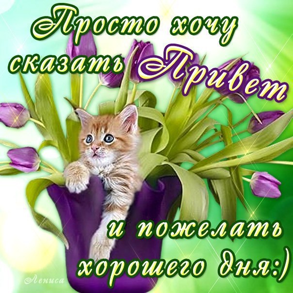   - 6  2015  10:54