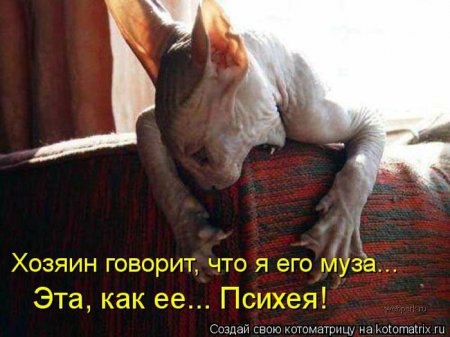 ����� �������� - 26 ���� 2015 � 20:26