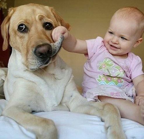 — Тузик, вот скажи честно, что ты ко мне испытываешь? — Терпение. Громадное терпение.